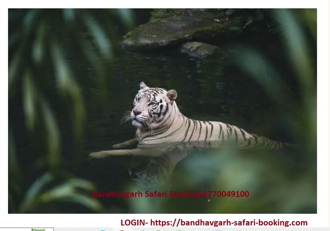 bandhavgarh safari booking online